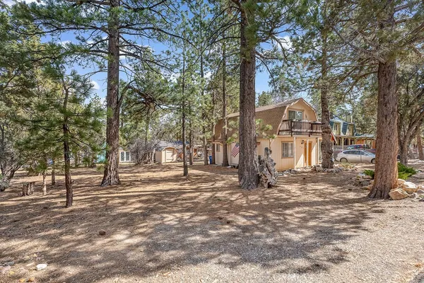 a view of a yard with a tree
