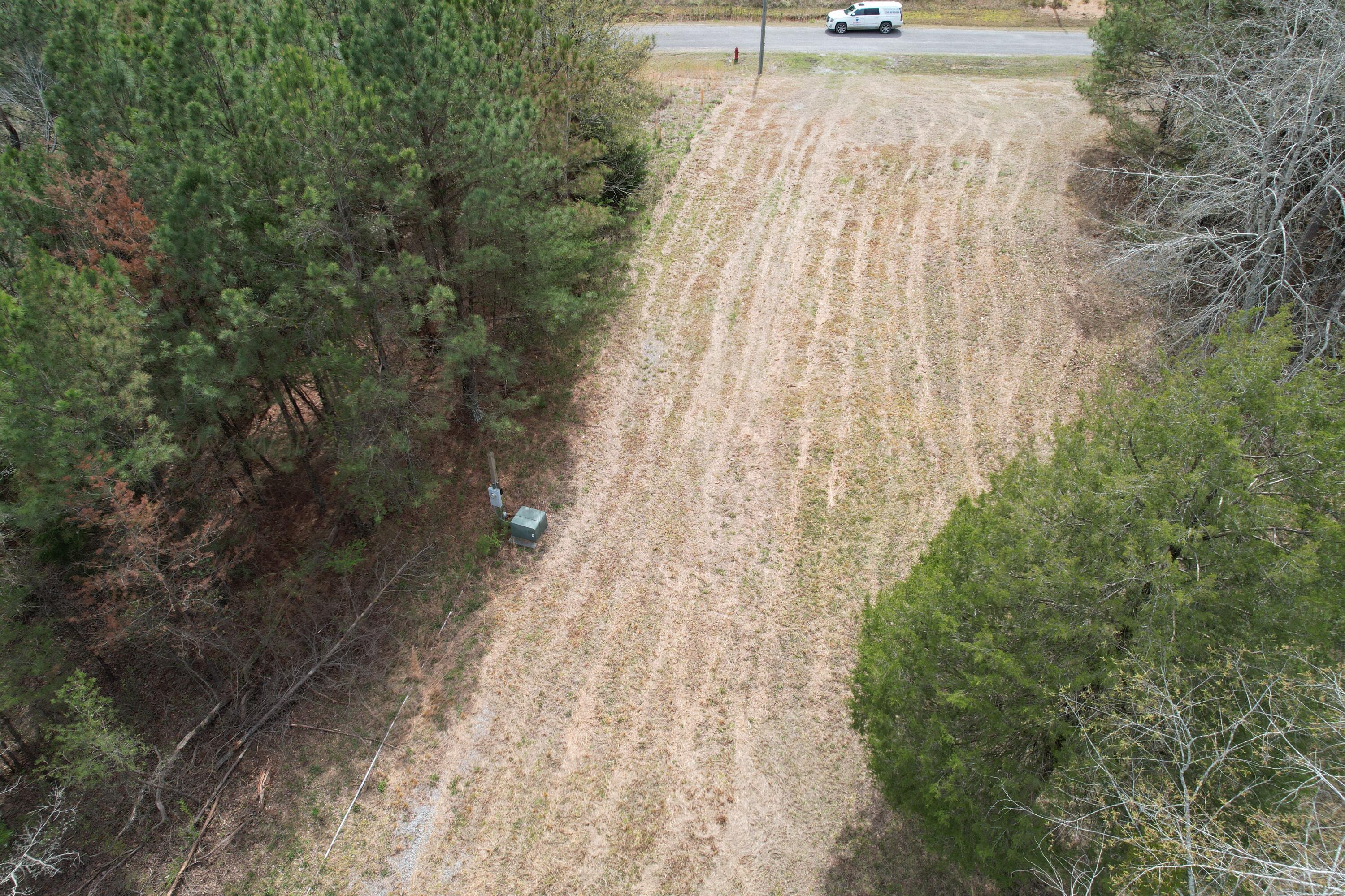15 Long Leaf Road Lynn, AL 35575 - Photo 8 of 14 Top Looking UP CLose