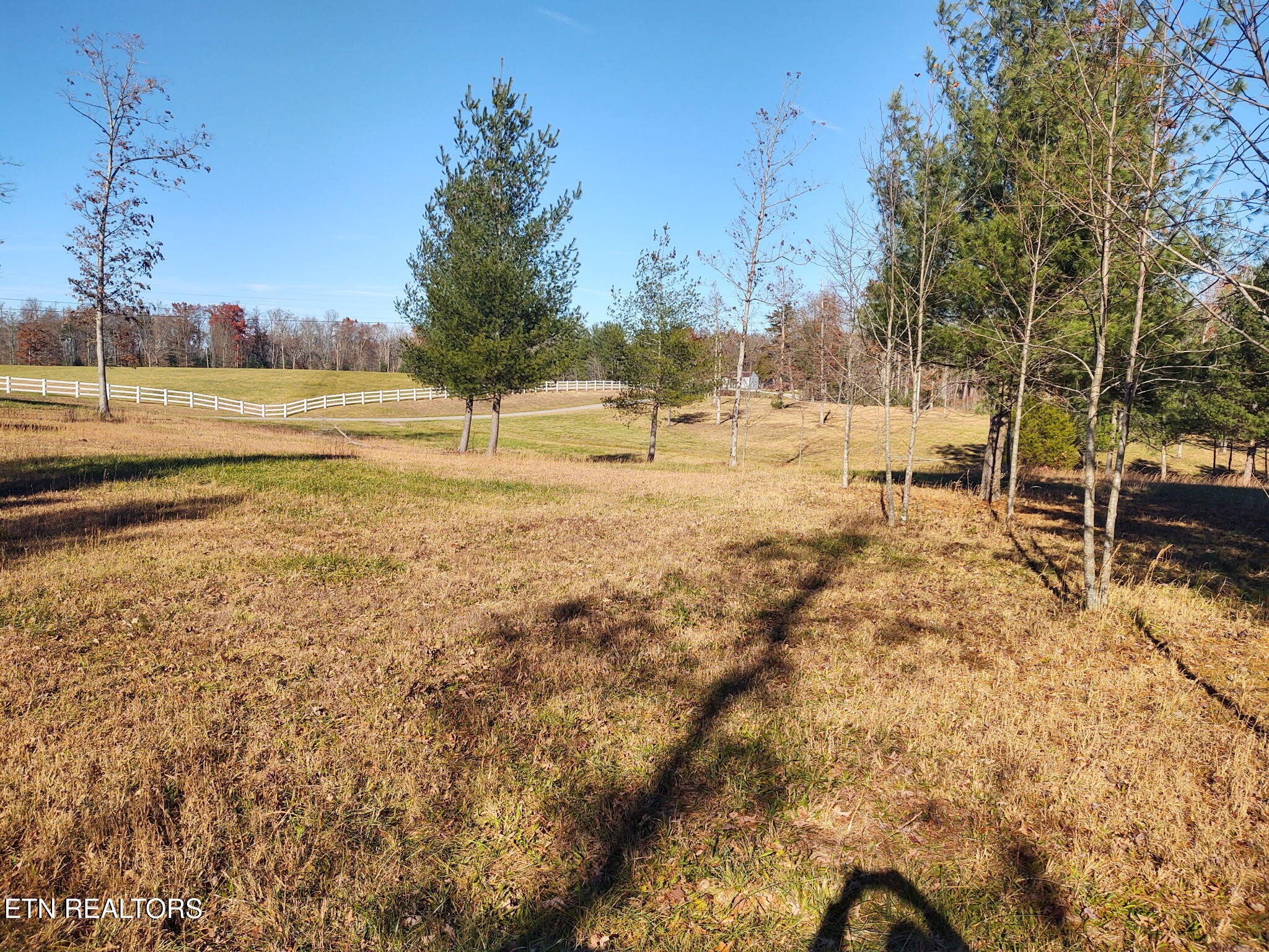 1241 Twin Bridge Road Deer Lodge, TN 37726 - Photo 12 of 35 Gallery Image 12