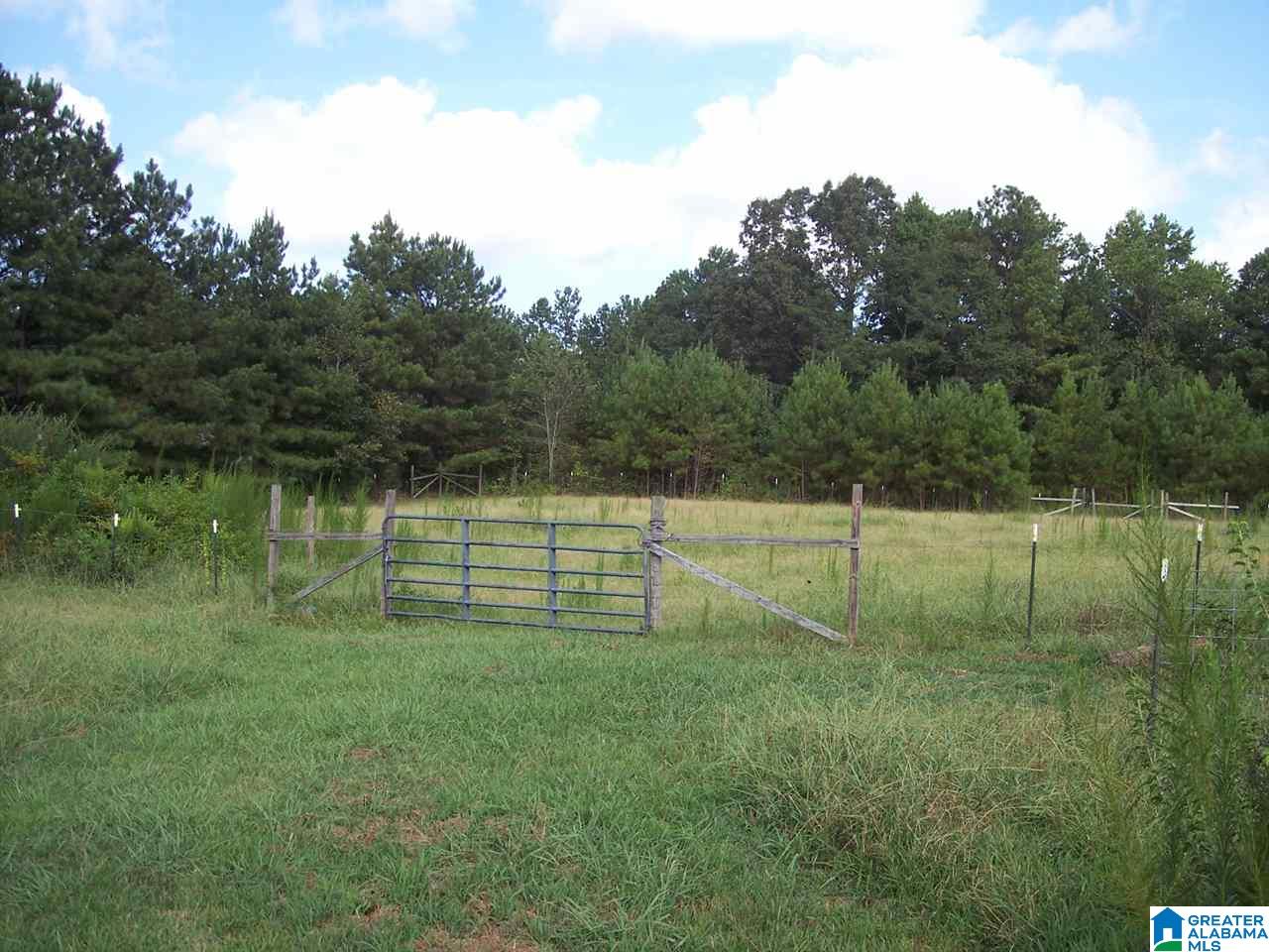1561 Ross Lake Road Wellington, AL 36279 - Photo 43 of 50