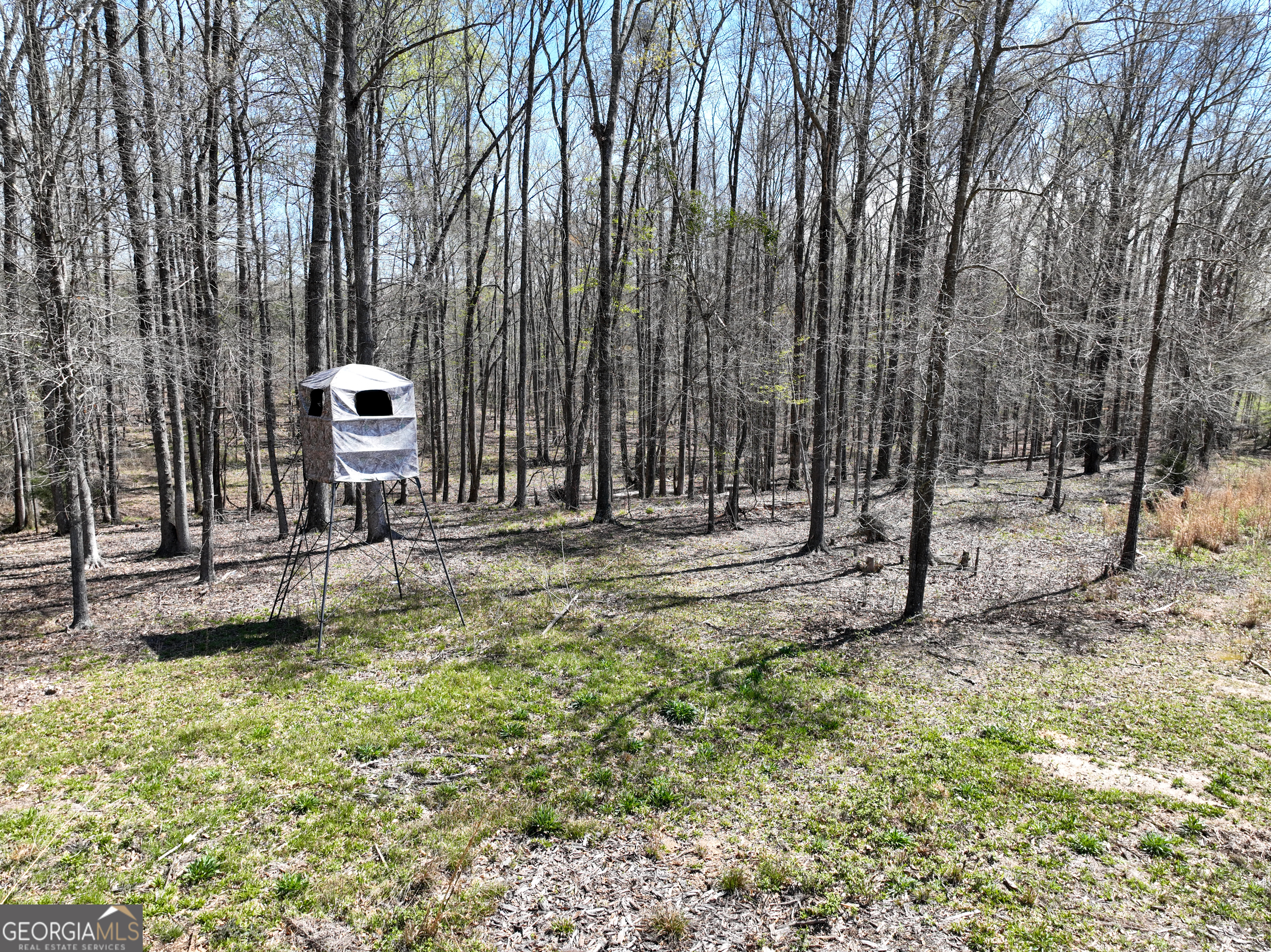 3873 Cove Road Woodbury, GA 30293 - Photo 71 of 78