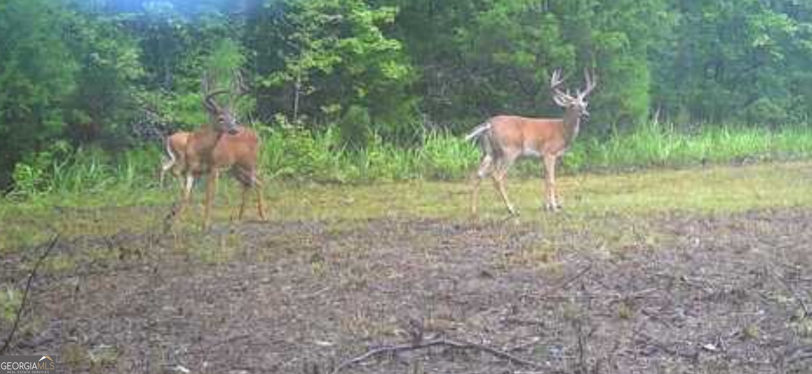 3873 Cove Road Woodbury, GA 30293 - Photo 75 of 78