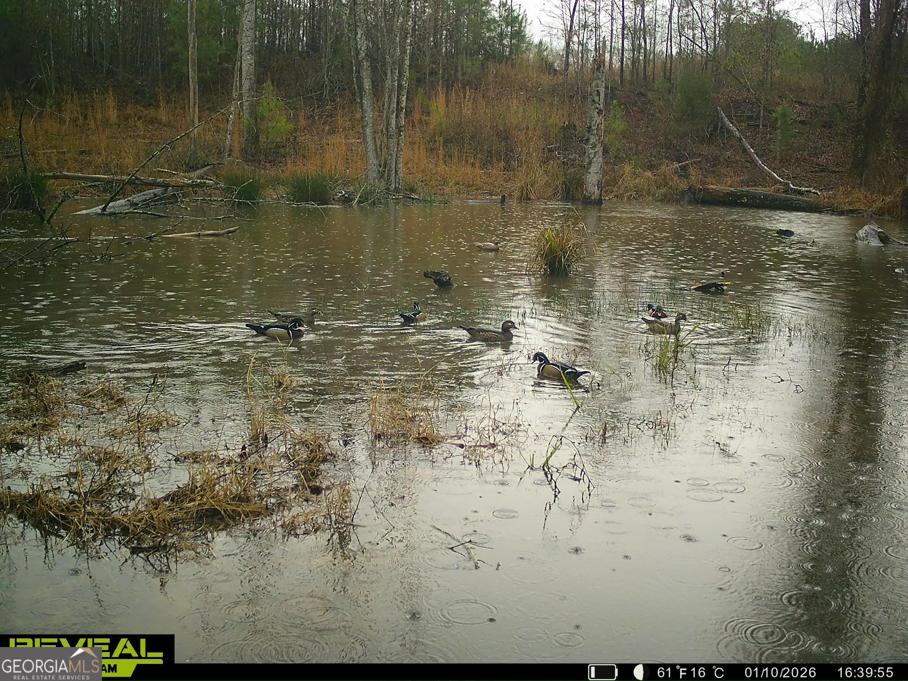 3873 Cove Road Woodbury, GA 30293 - Photo 77 of 78