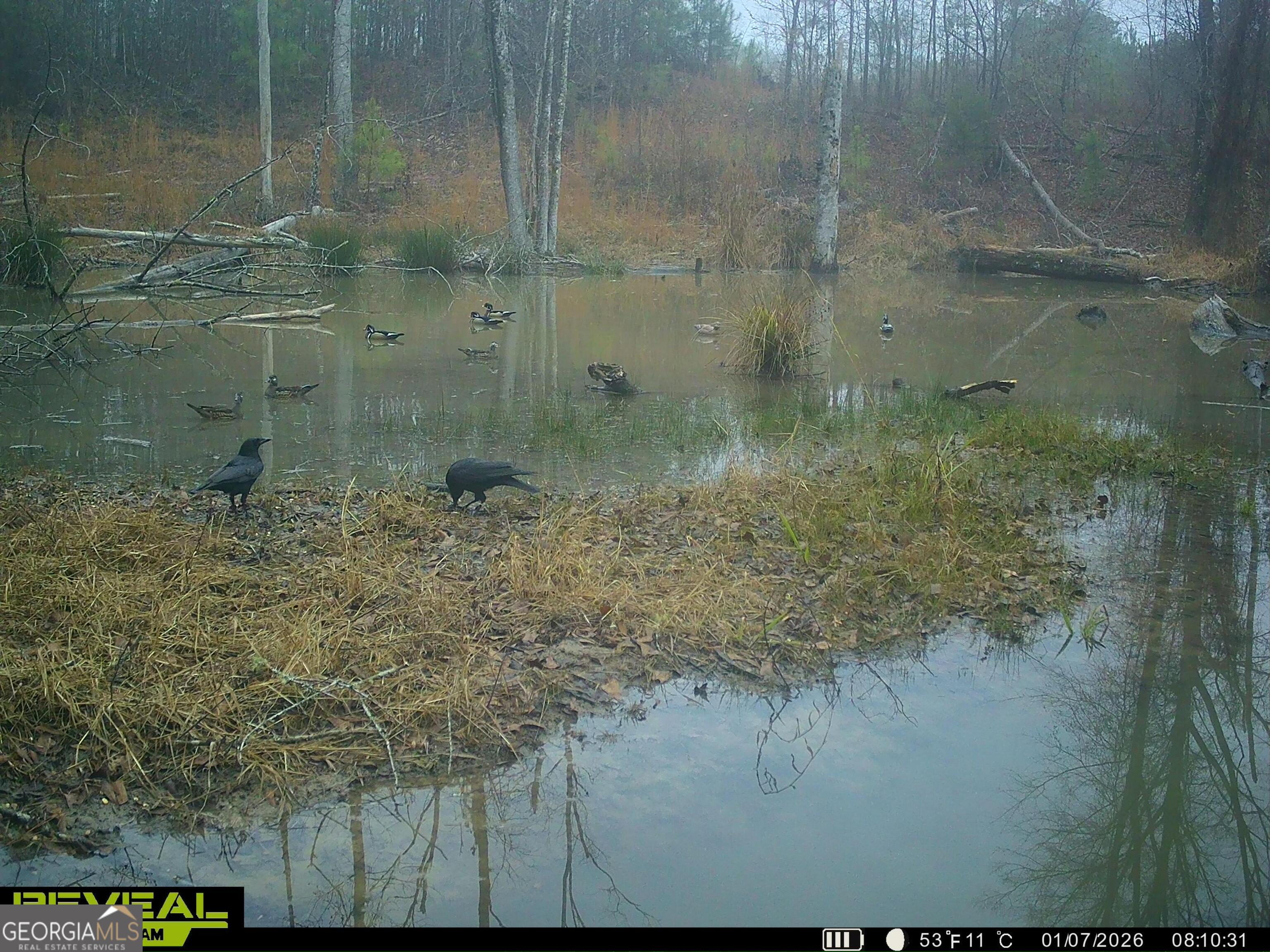 3873 Cove Road Woodbury, GA 30293 - Photo 78 of 78