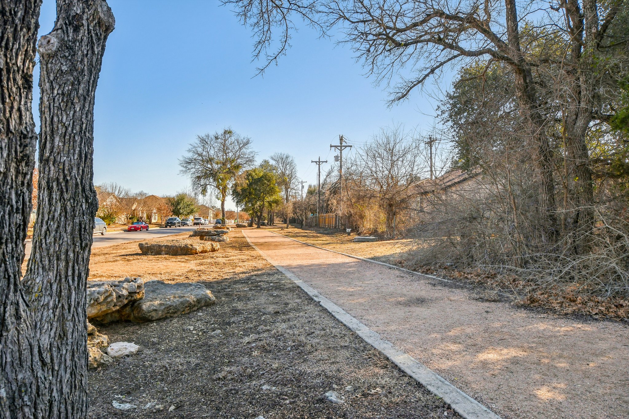616 Lookout Tree Lane Round Rock, TX 78664 - Photo 31 of 39 View of street