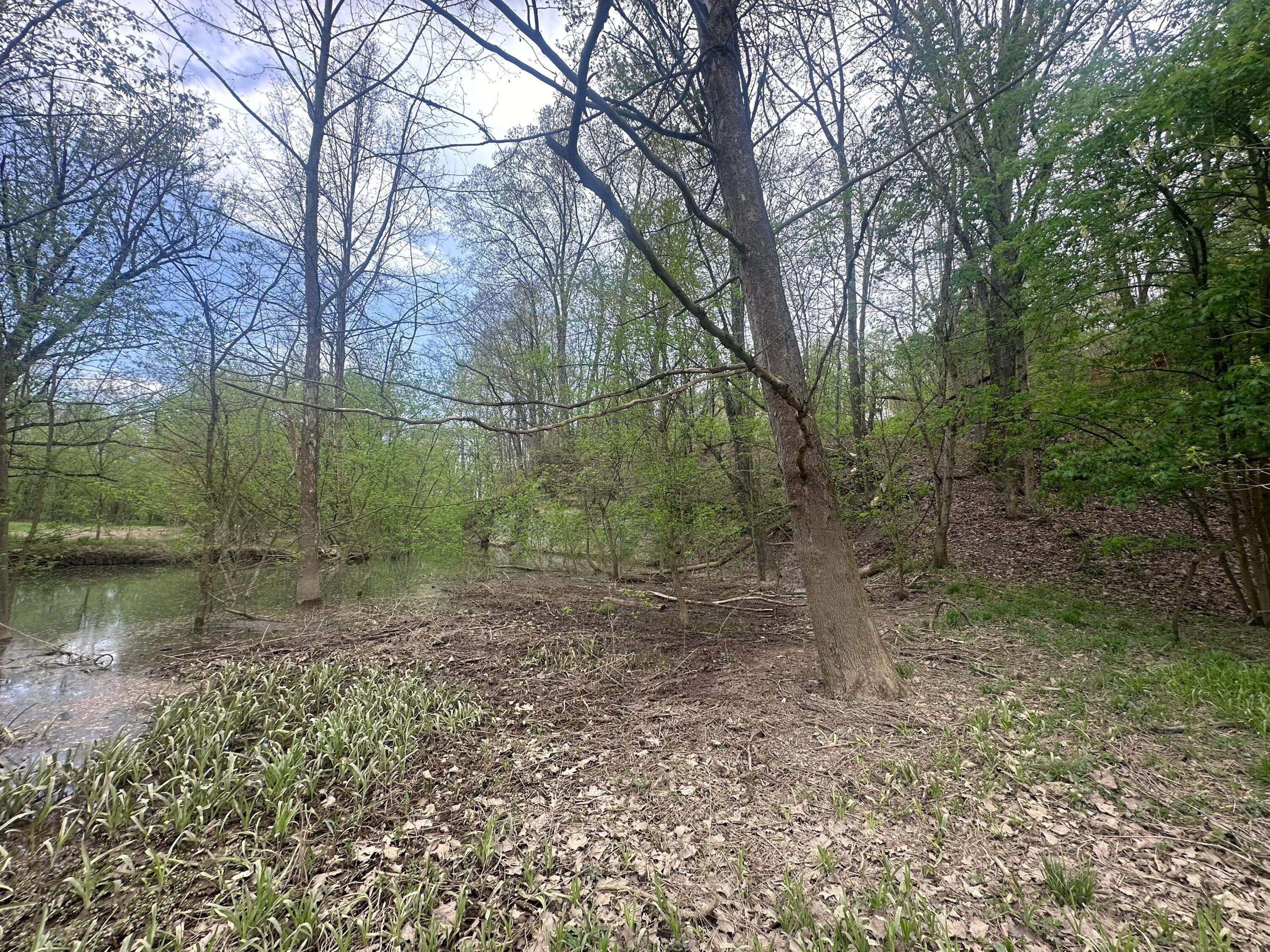 9400 Old River Road Blue Rock, OH 43720 - Photo 3 of 17 Creek to the Muskingum River