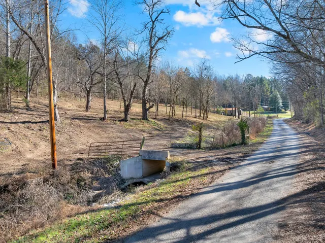 a view of a yard with trees