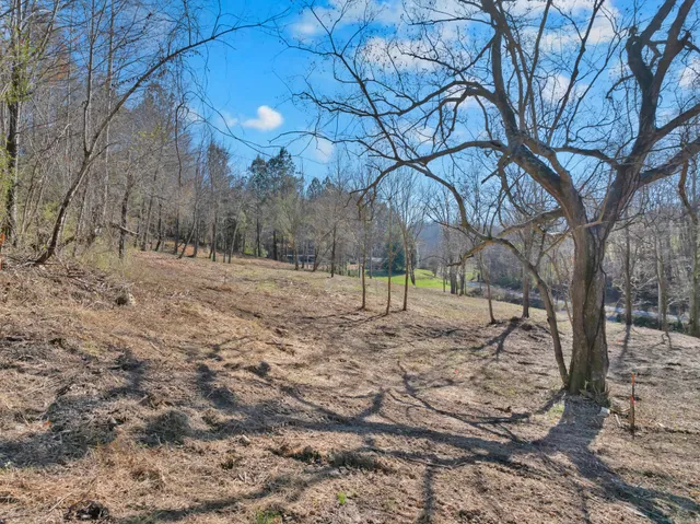 a view of a yard with trees