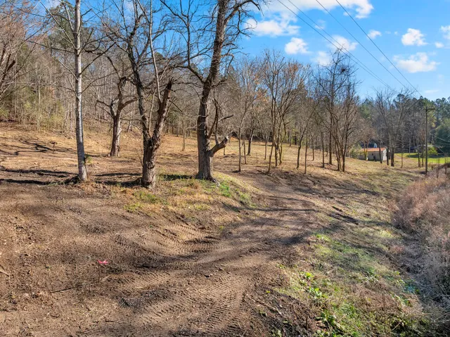 a view of open space with trees