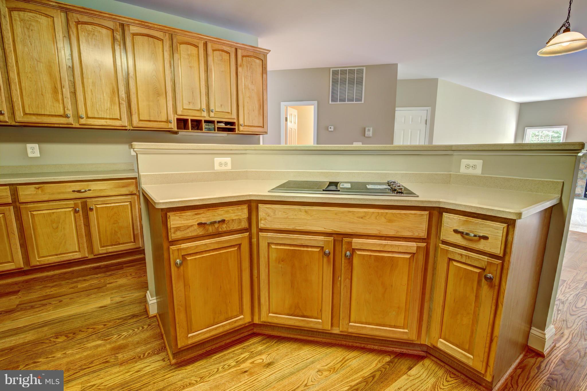 44118 Spinks Ferry Road Leesburg, VA 20176 - Photo 20 of 30 Kitchen
