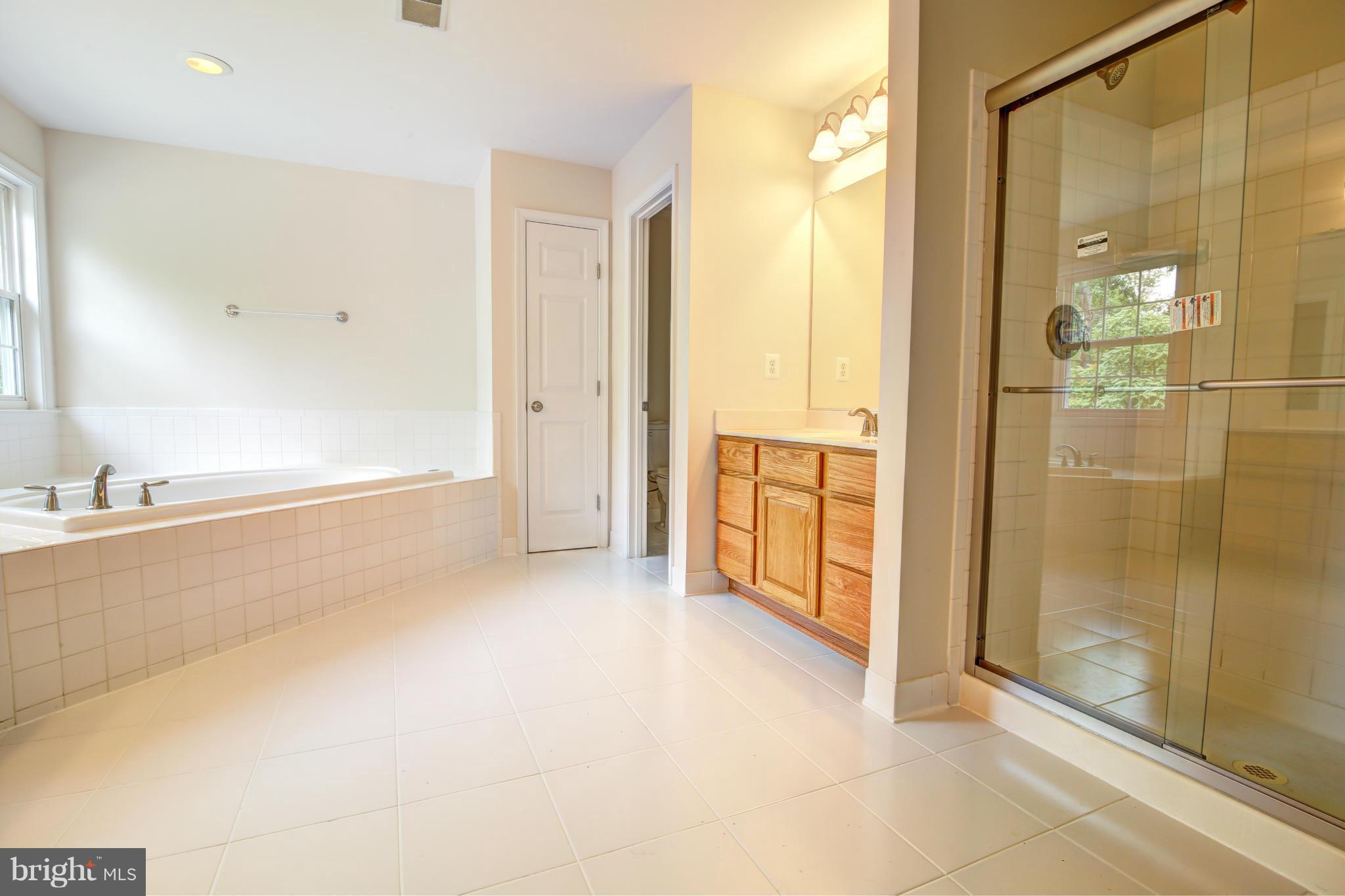 44118 Spinks Ferry Road Leesburg, VA 20176 - Photo 27 of 30 Bath (Master)