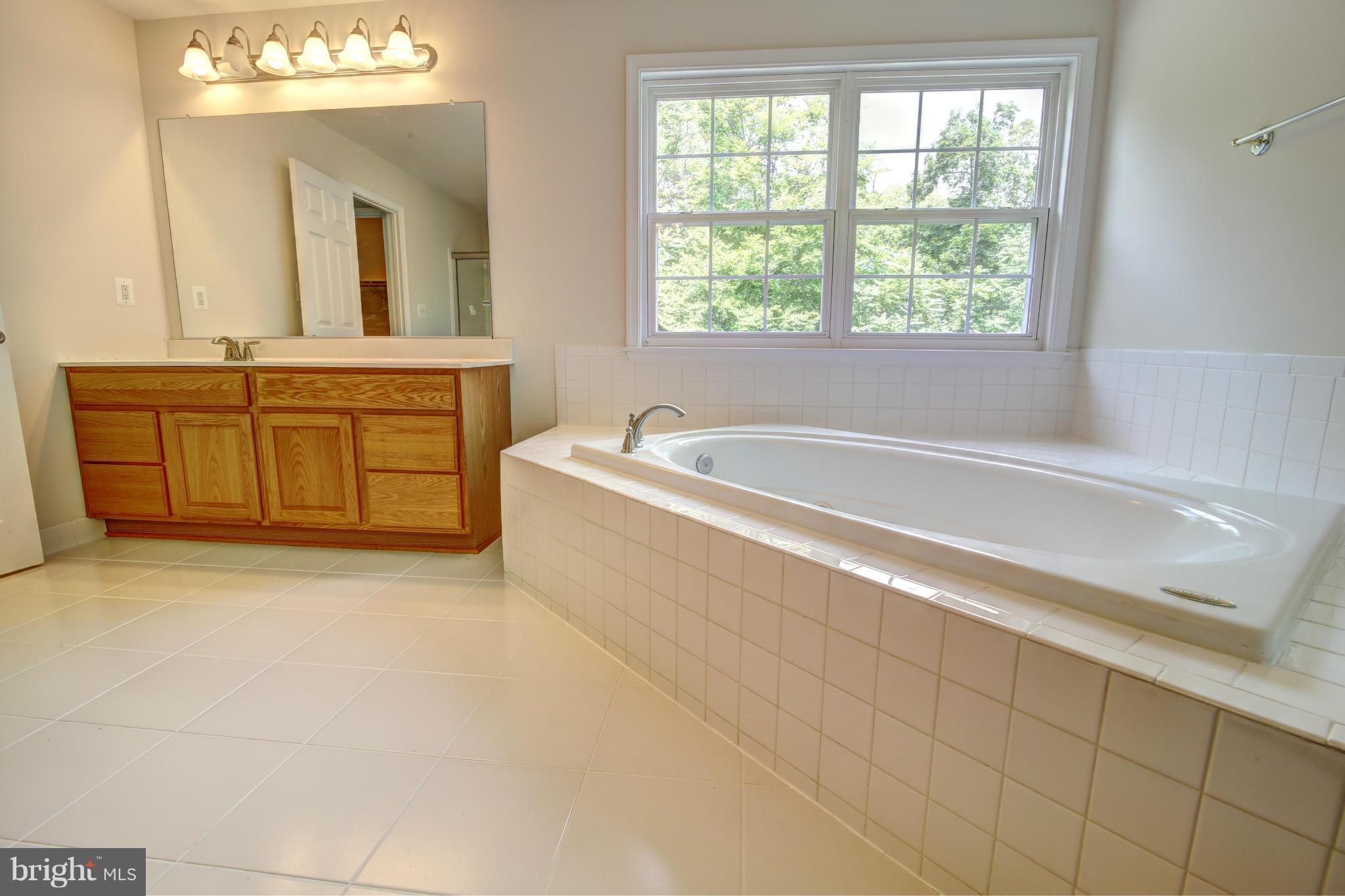 44118 Spinks Ferry Road Leesburg, VA 20176 - Photo 28 of 30 Bath (Master)
