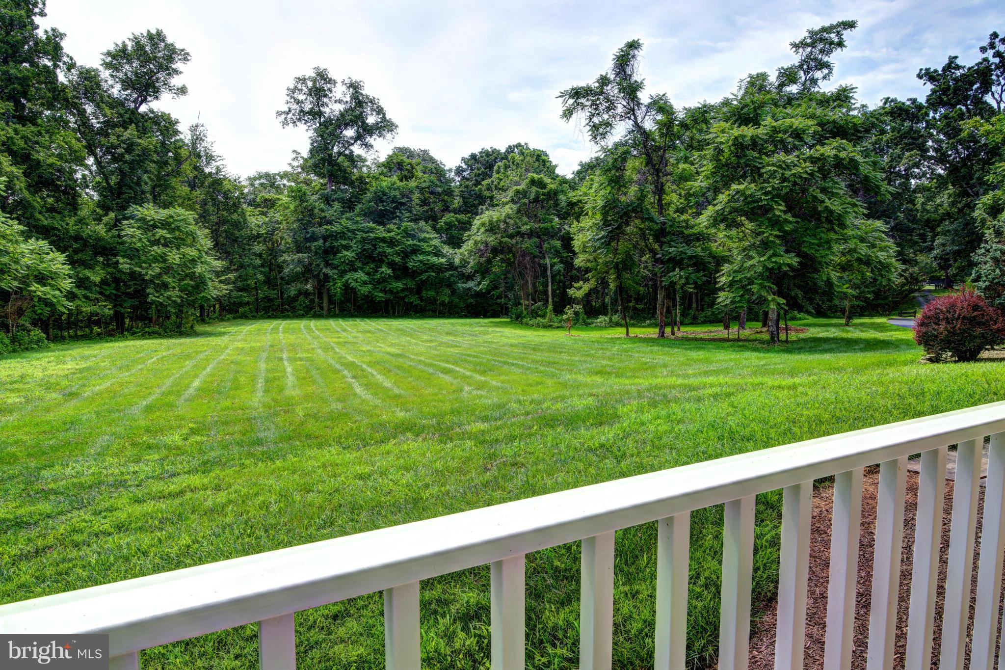 44118 Spinks Ferry Road Leesburg, VA 20176 - Photo 4 of 30 Front yard
