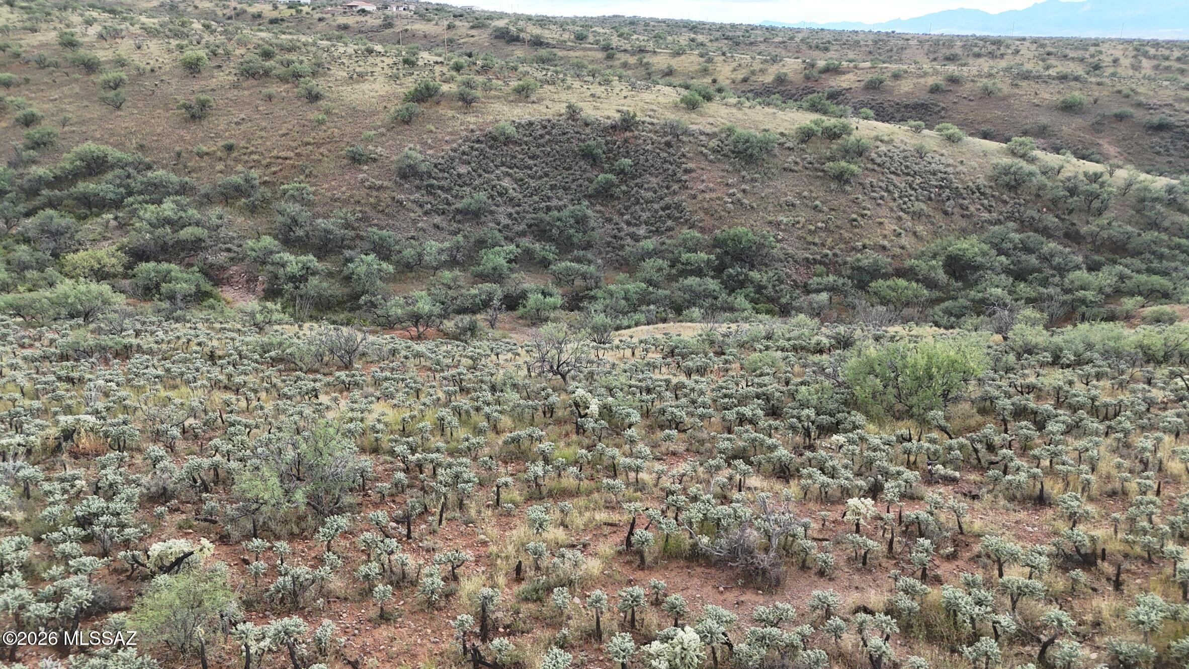 62DBB7F4-441C-42E9-A739-560929F74DB1_1_1