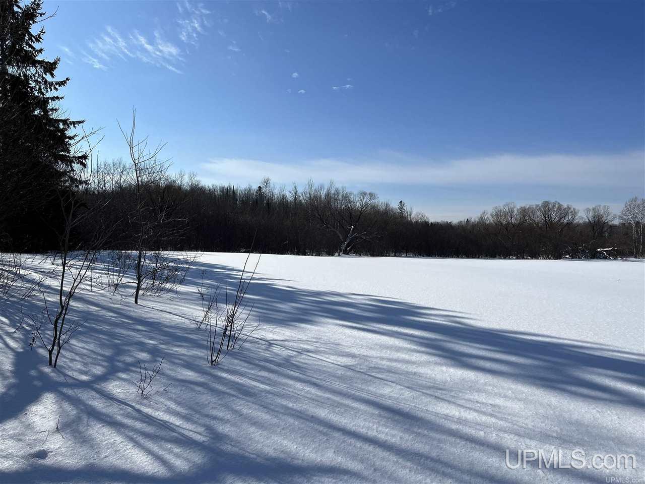 Tbd Harding Road Bessemer, MI 49911 - Photo 8 of 21