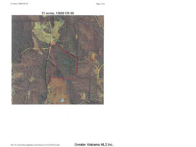 59 County Road, Unit 31 Woodland, AL 36280 - Photo 3 of 3