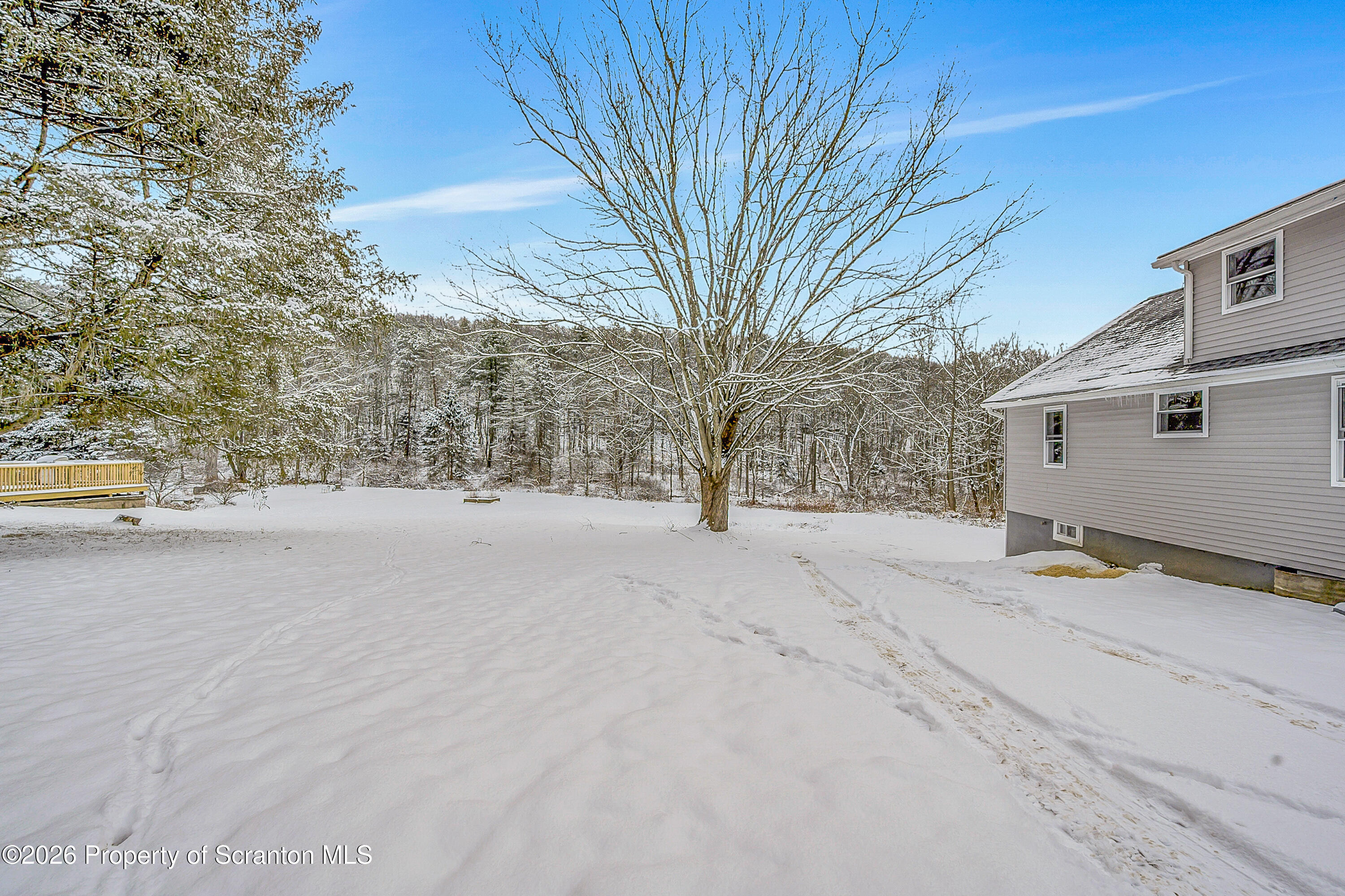 642 Bodle Road Wyoming, PA 18644 - Photo 3 of 33 a view of road and trees