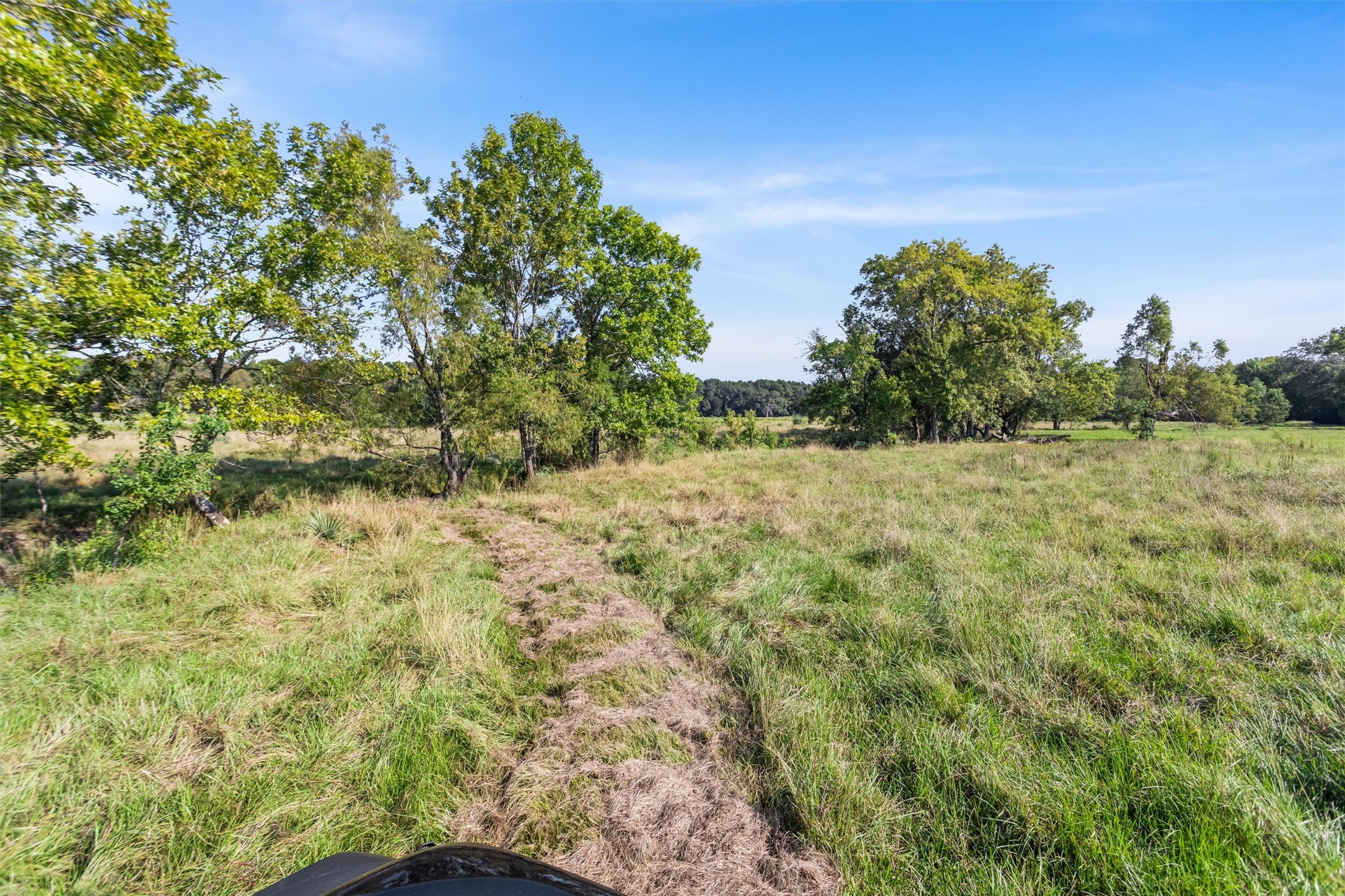 22.4-acres Bailey Grove Road Montgomery, TX 77356 - Photo 10 of 38 Gallery Image 10