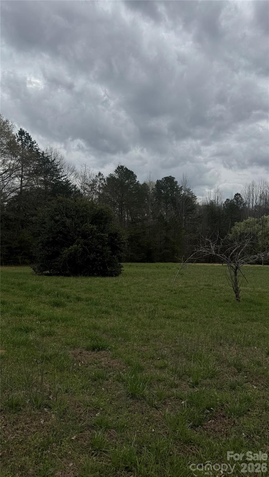 0 Lewis Road Gastonia, NC 28052 - Photo 9 of 15 a view of outdoor space and yard