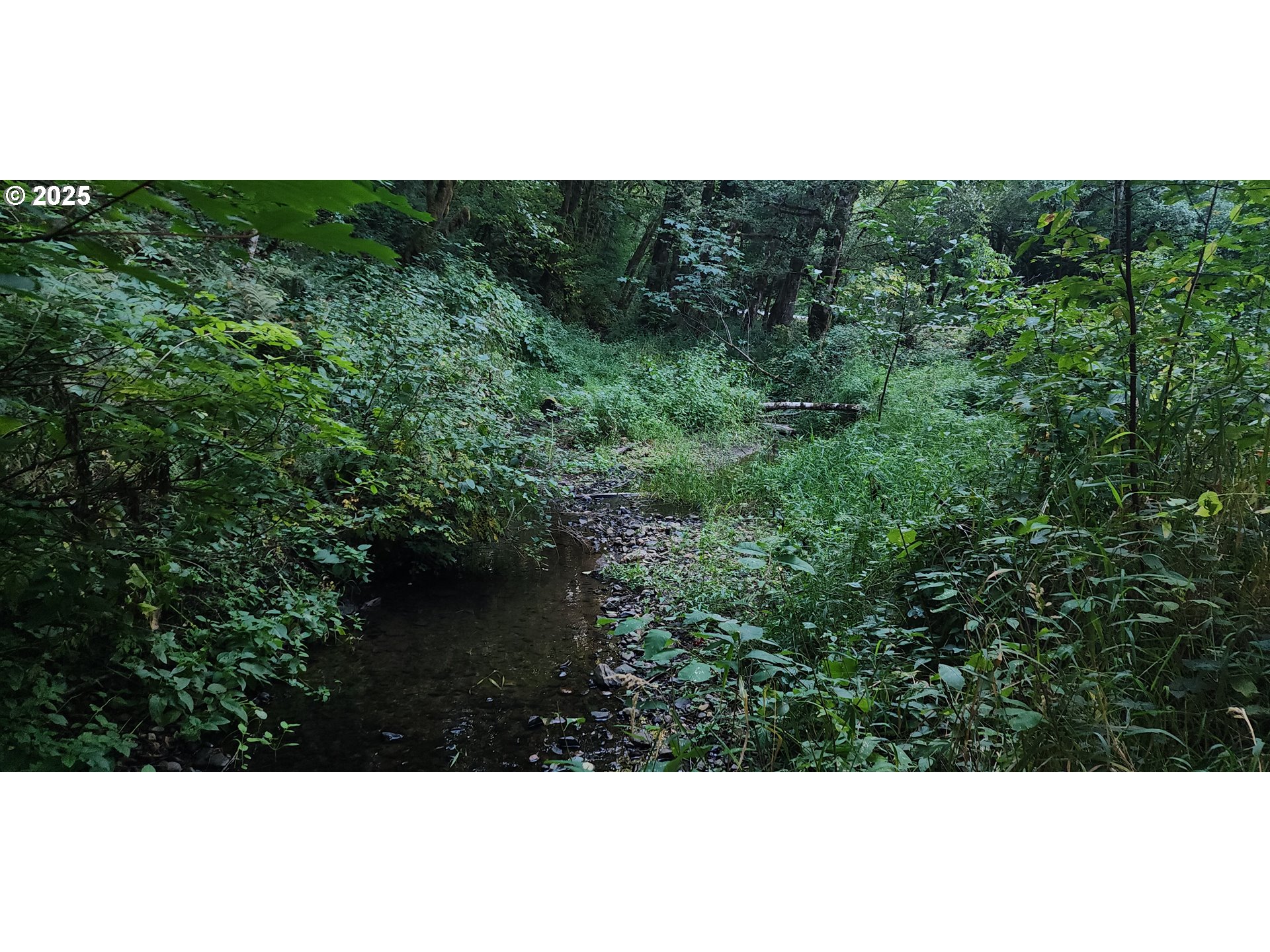 31917 Brooks Road St. Helens, OR 97051 - Photo 2 of 9 a view of a back yard