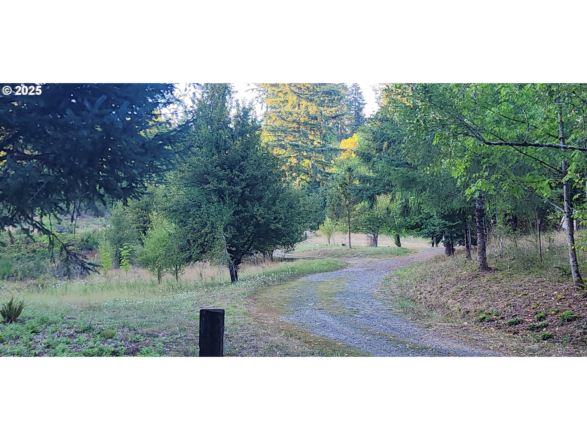 31917 Brooks Road St. Helens, OR 97051 - Photo 3 of 9 a view of outdoor space and yard