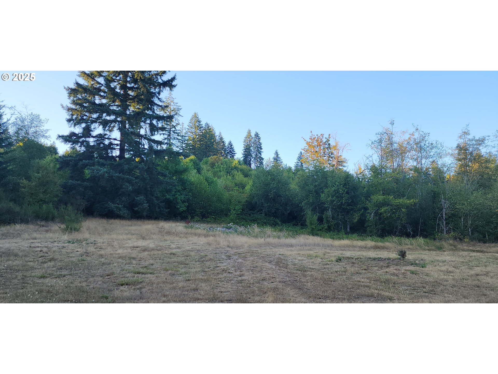 31917 Brooks Road St. Helens, OR 97051 - Photo 5 of 9 a view of outdoor space with trees all around