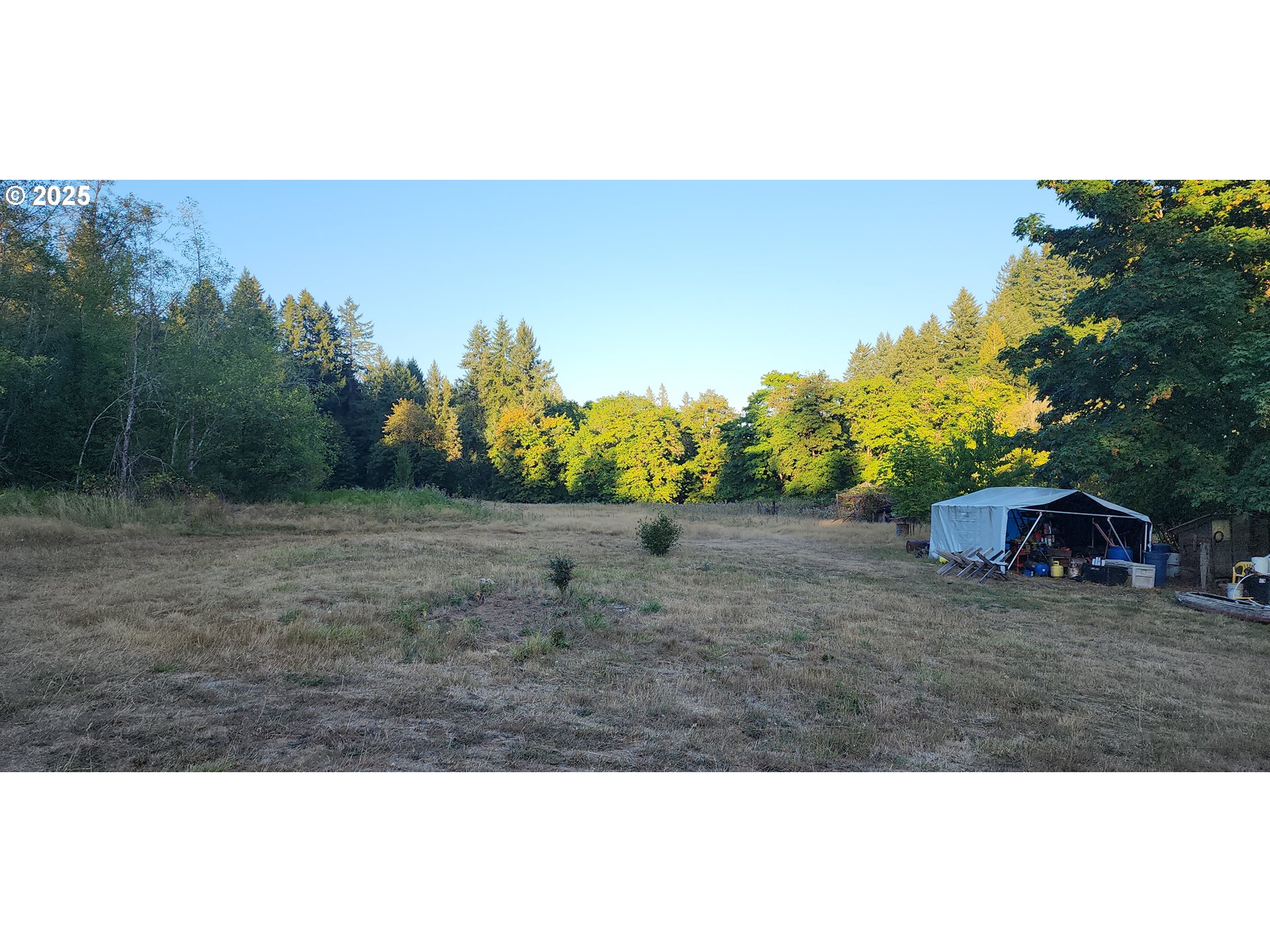31917 Brooks Road St. Helens, OR 97051 - Photo 7 of 9 a view of an outdoor space and a yard
