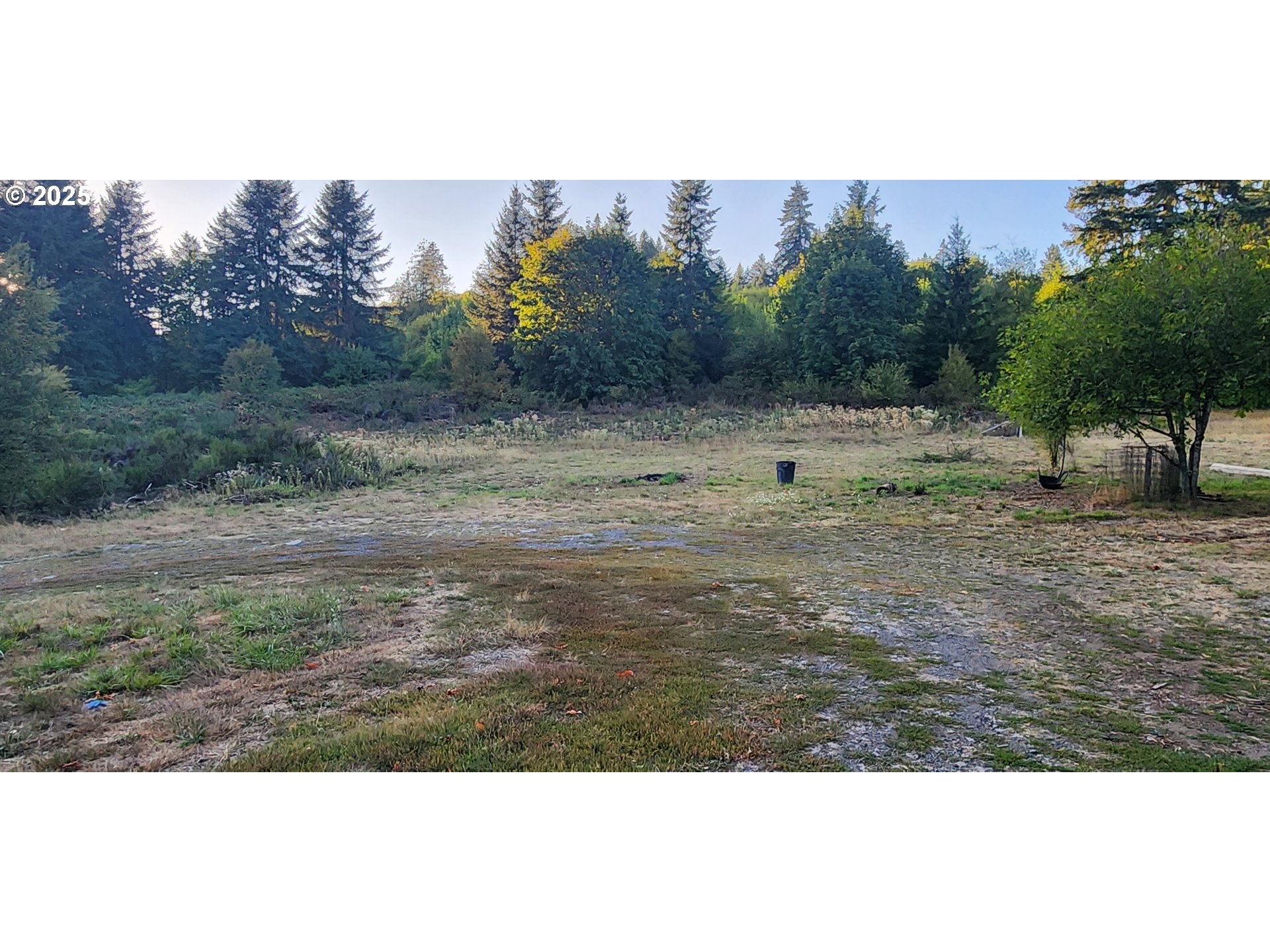 31917 Brooks Road St. Helens, OR 97051 - Photo 8 of 9 a view of outdoor space with green space