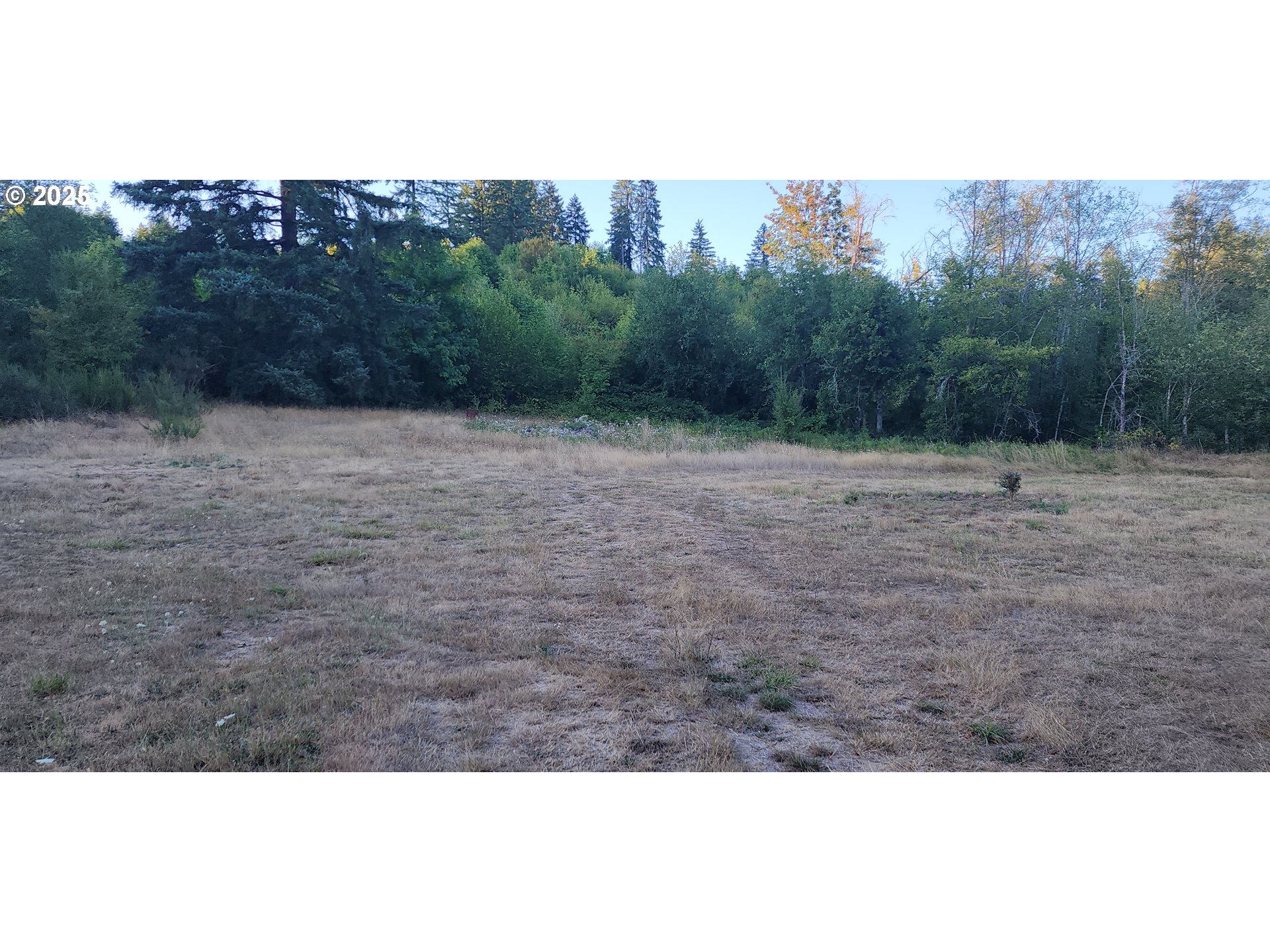 31917 Brooks Road St. Helens, OR 97051 - Photo 9 of 9 a view of open field with green space