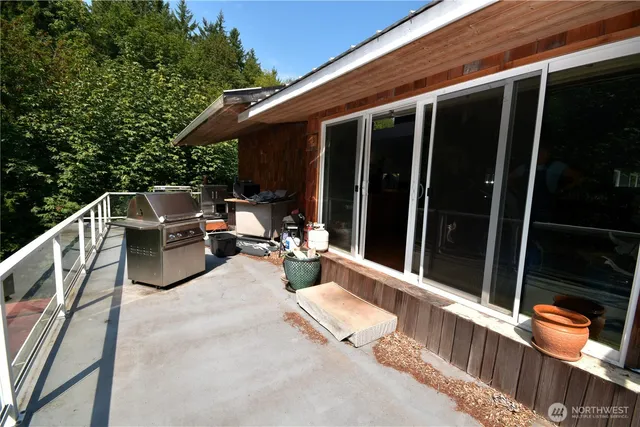a view of a forest with trees in the background