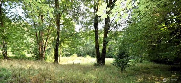 a backyard of a house with lots of green space