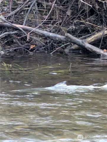 $1,200,000 | 961 Northeast Snowcap Drive, Tahuya, WA 98588