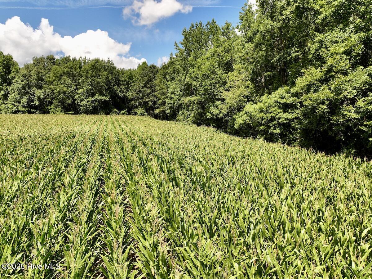 Lot 3 Mobley Road Lucama, NC 27851 - Photo 24 of 34 24