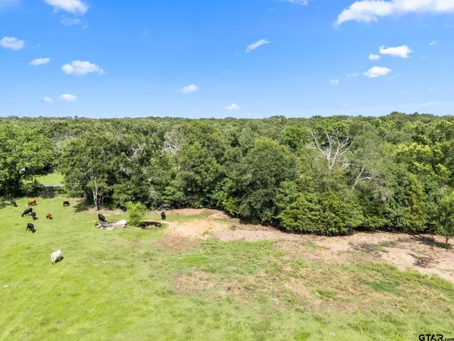 a view of a yard with a tree