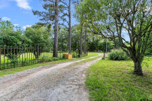 a view of a park entertaining space