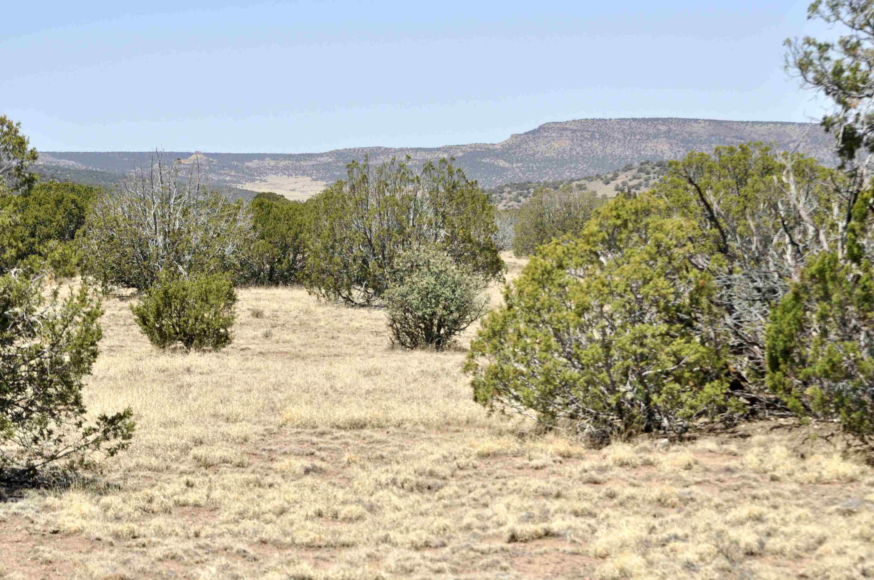 Lot 134 Pine Ridge Ranch, Unit 3 Concho, AZ 85924 - Photo 1 of 10