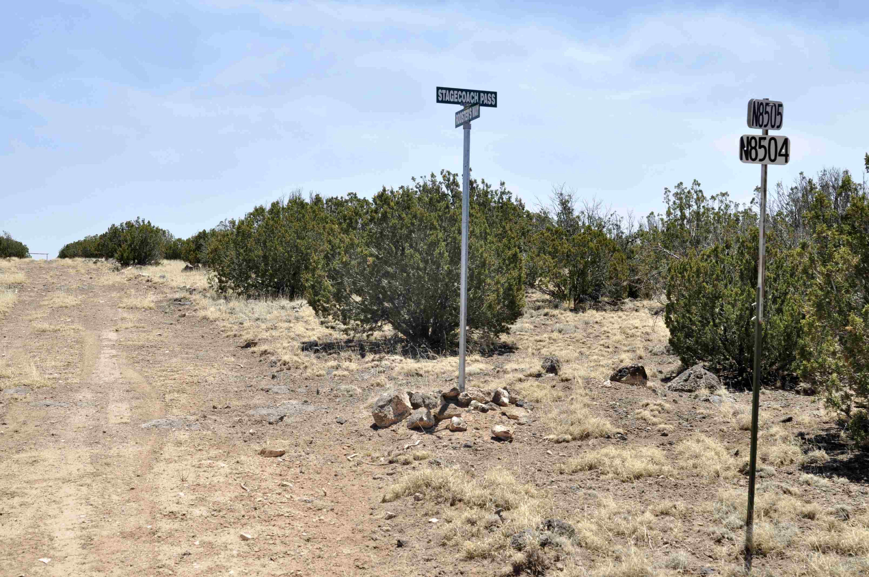 Lot 134 Pine Ridge Ranch, Unit 3 Concho, AZ 85924 - Photo 2 of 10