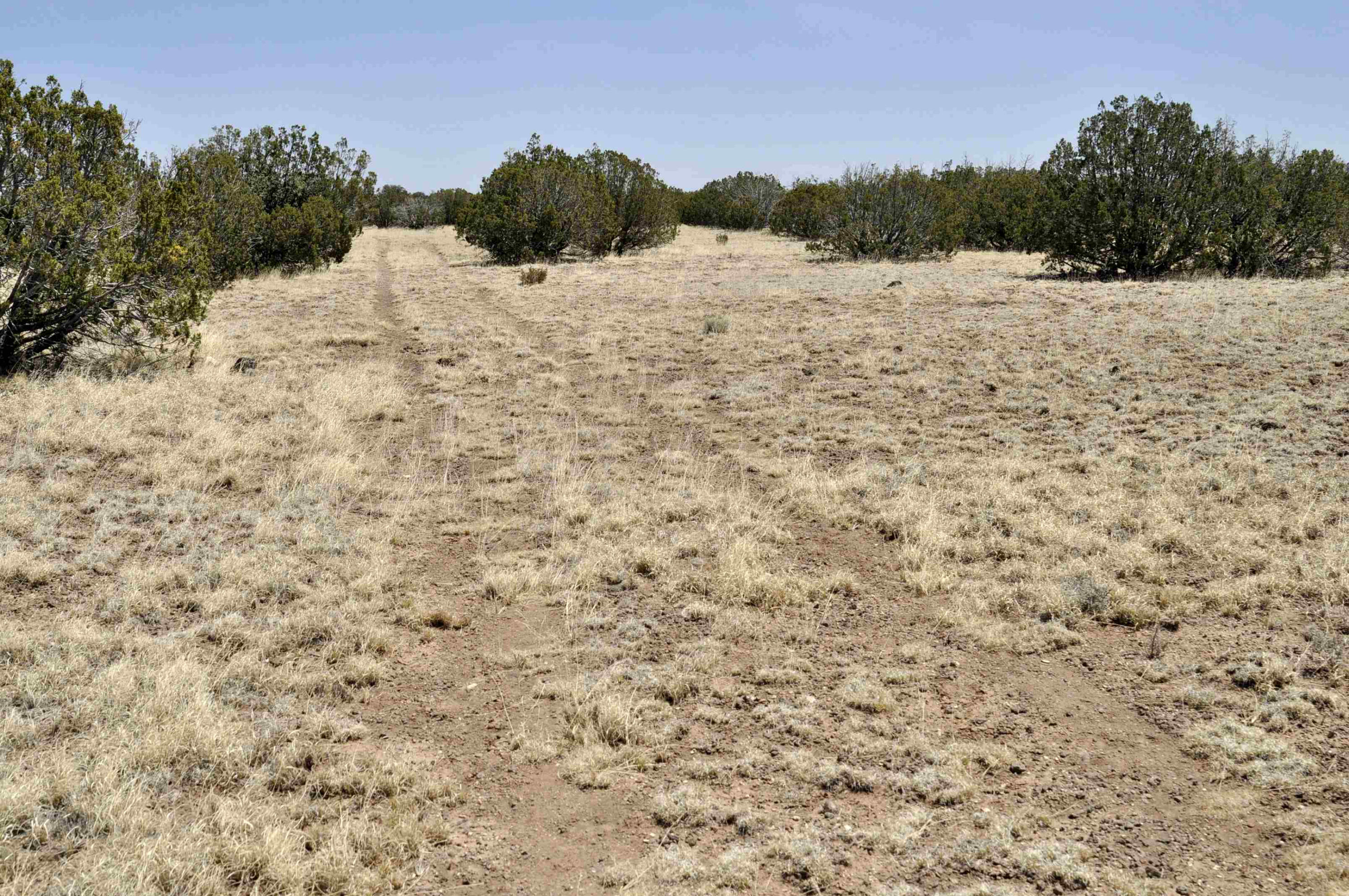 Lot 134 Pine Ridge Ranch, Unit 3 Concho, AZ 85924 - Photo 4 of 10
