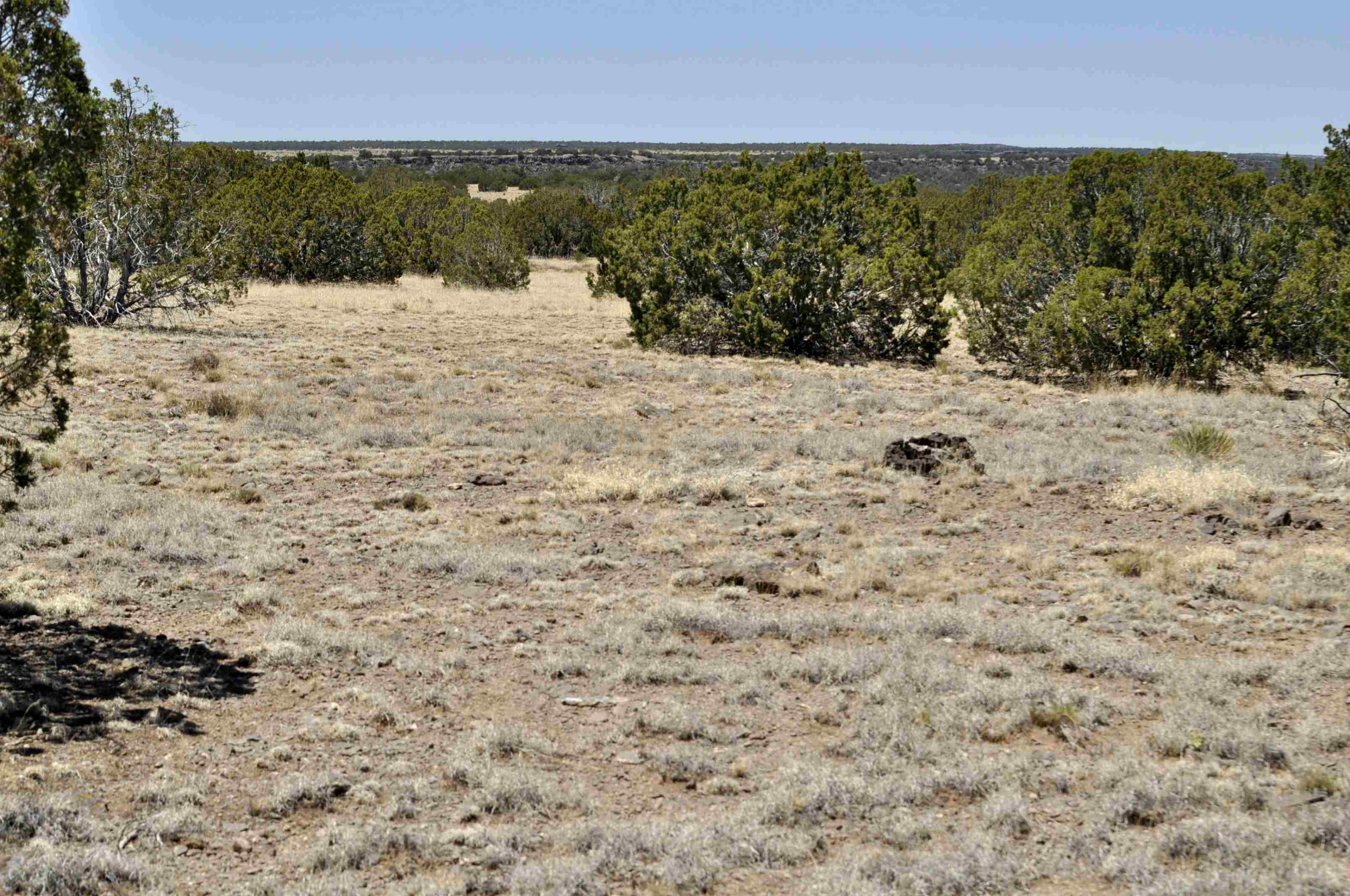 Lot 134 Pine Ridge Ranch, Unit 3 Concho, AZ 85924 - Photo 7 of 10