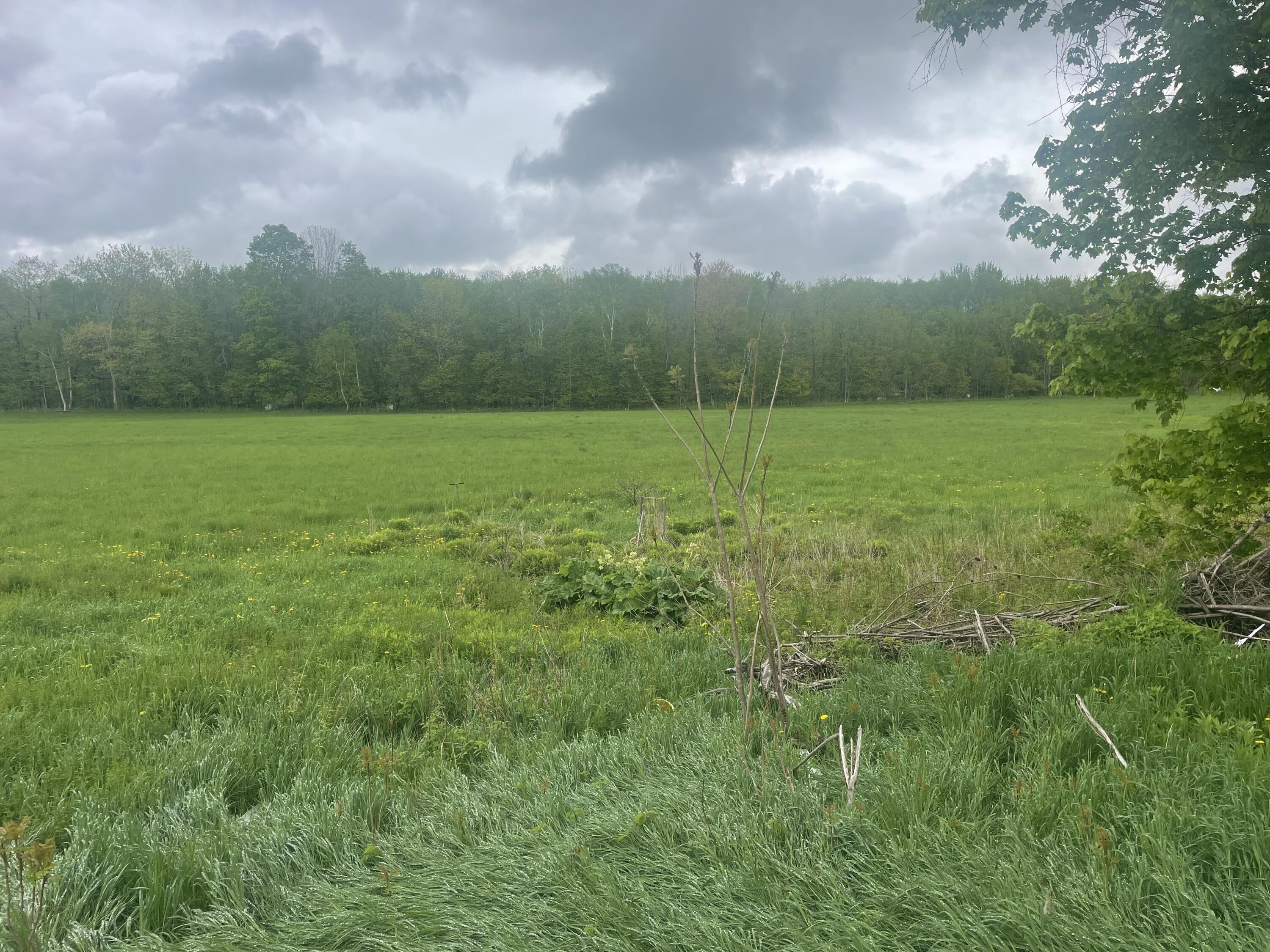 722 Farmington Road Strong, ME 04983 - Photo 5 of 27 IMG_7533