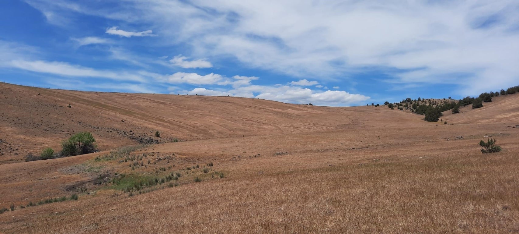 York Road Montague, CA 96064 - Photo 11 of 24 Gallery Image 11