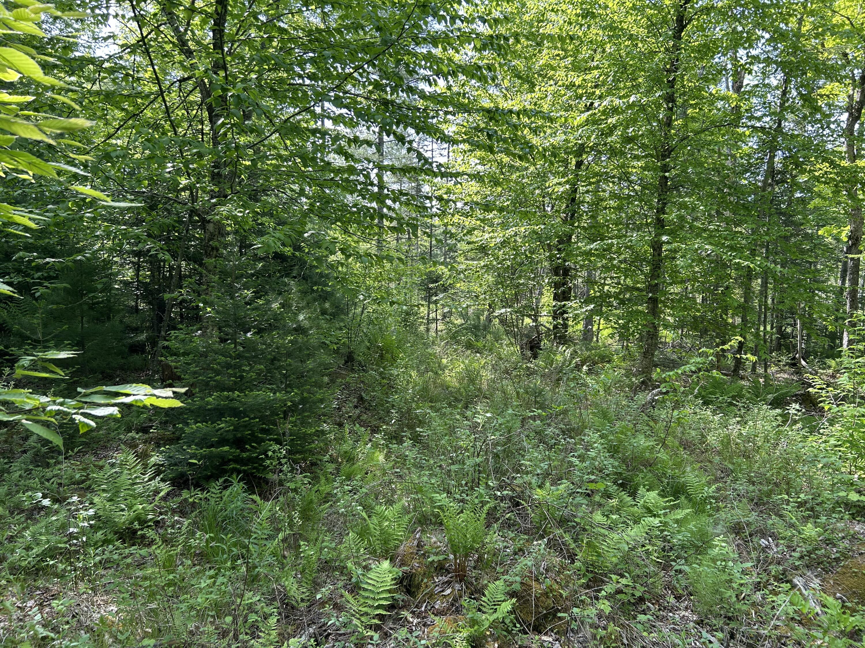 M5-l13 Clark Road Prospect, ME 04981 - Photo 29 of 33 IMG_8814