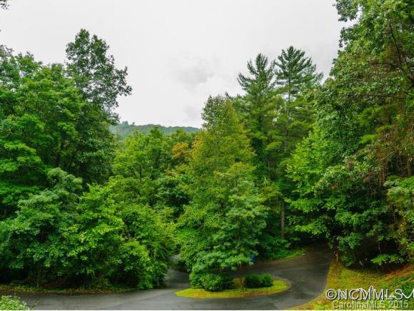 149 Wolfe Cove Road Asheville, NC 28804 - Photo 21 of 23 Gallery Image 21