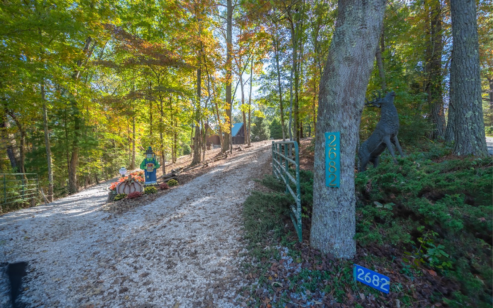 2682 Douthit Road Mineral Bluff, GA 30559 - Photo 4 of 4 Additional View