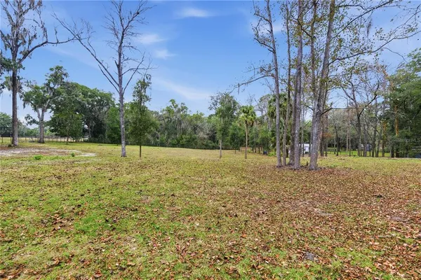 a view of a field with a tree