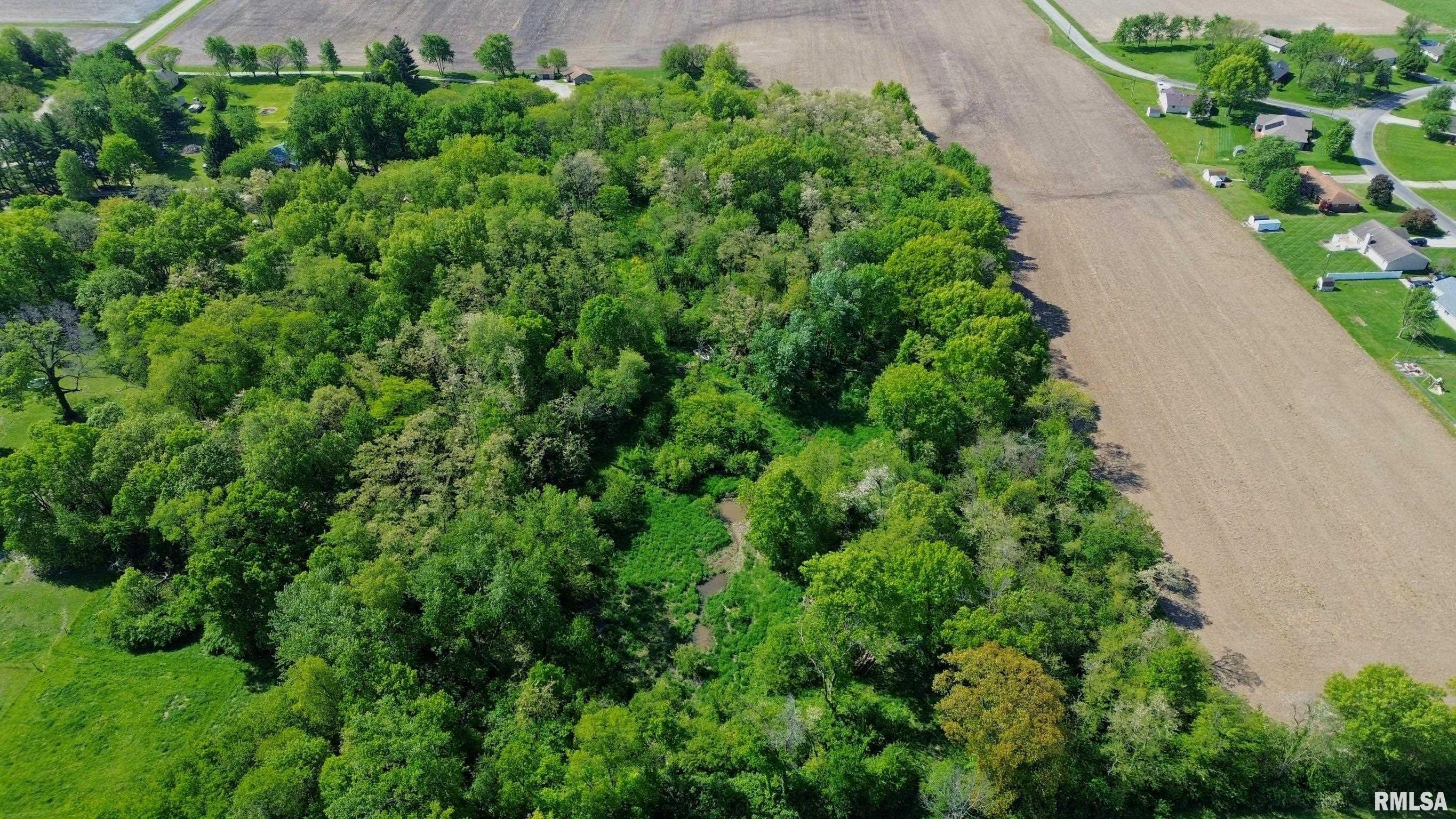 1235 1600 N Road, Unit EAST Taylorville, IL 62568 - Photo 3 of 6