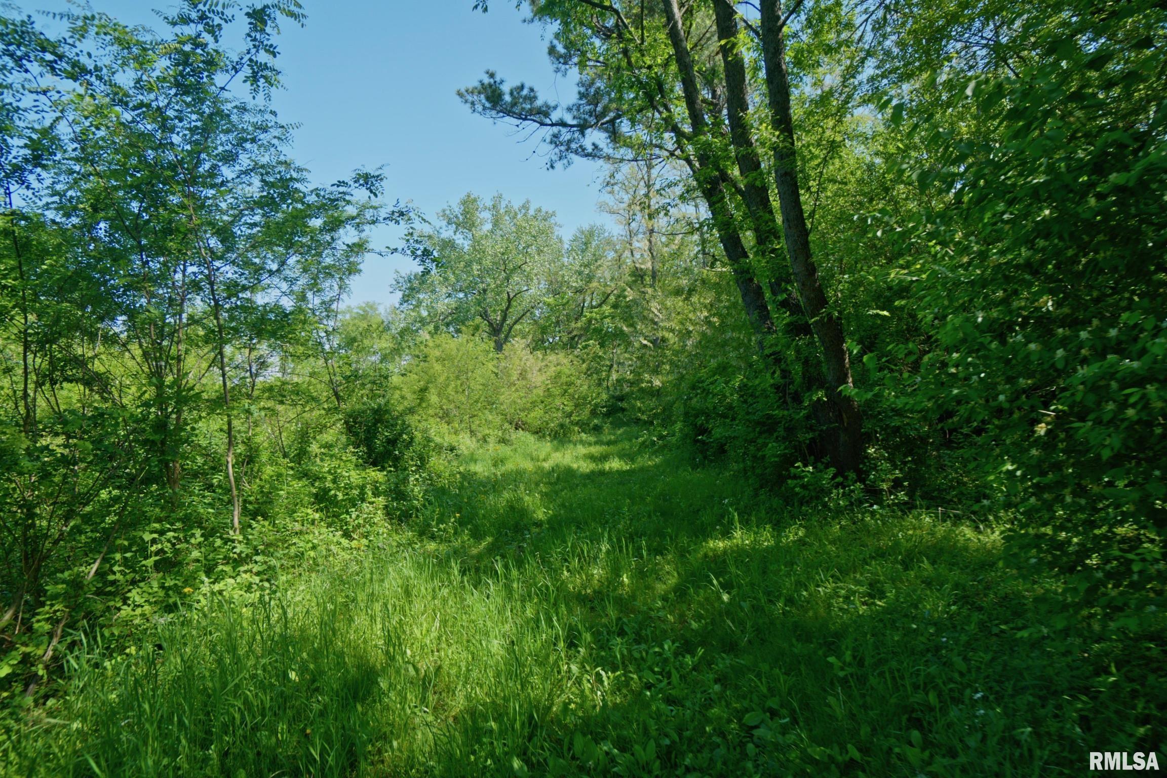 1235 1600 N Road, Unit EAST Taylorville, IL 62568 - Photo 4 of 6