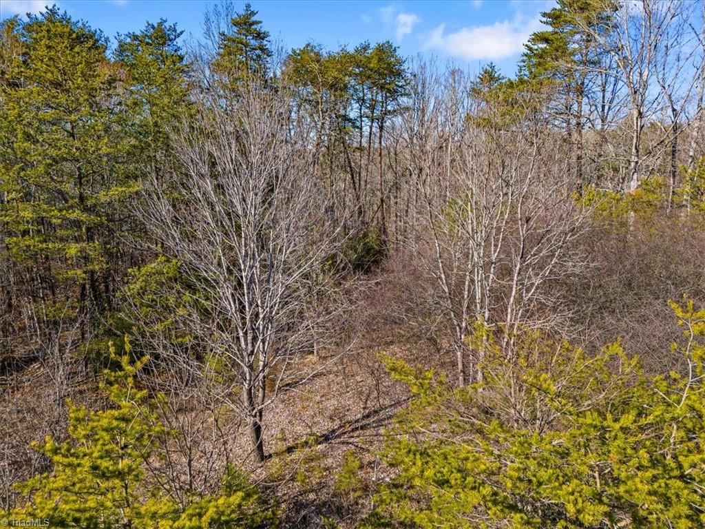 7350 Hidden View Drive Oak Ridge, NC 27310 - Photo 13 of 14