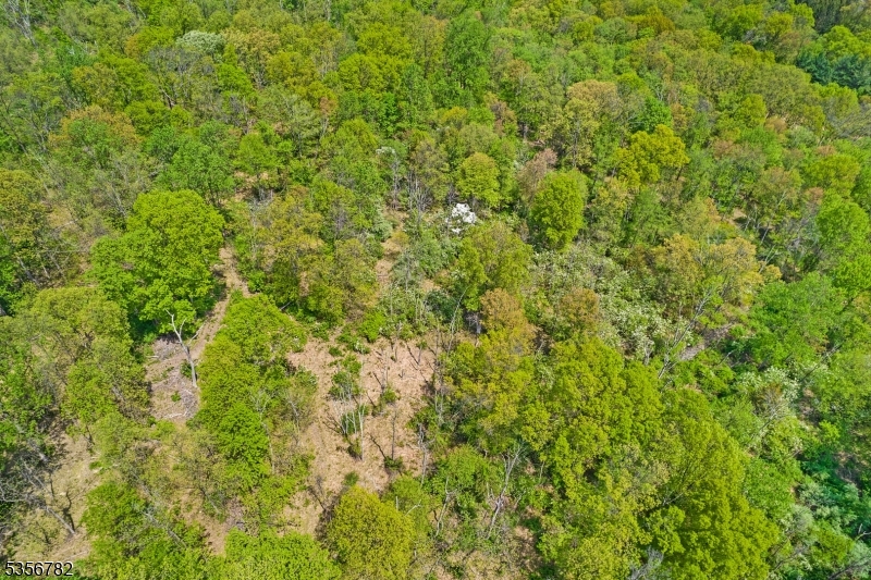0 Hardscrabble Hill Road Flemington, NJ 08822 - Photo 4 of 7