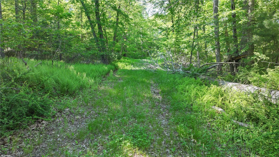 0 Barbs Hill Road Greene, RI 02827 - Photo 14 of 22 Gallery Image 14